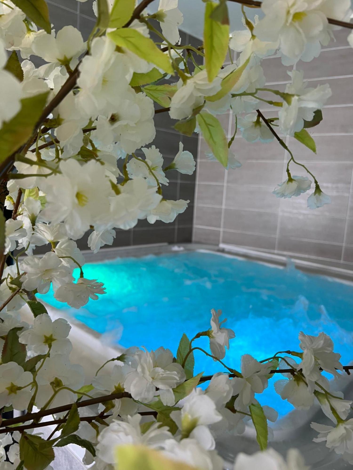 Hotel Calme Des Pins & Spa Les Sables-dʼOlonne Zewnętrze zdjęcie